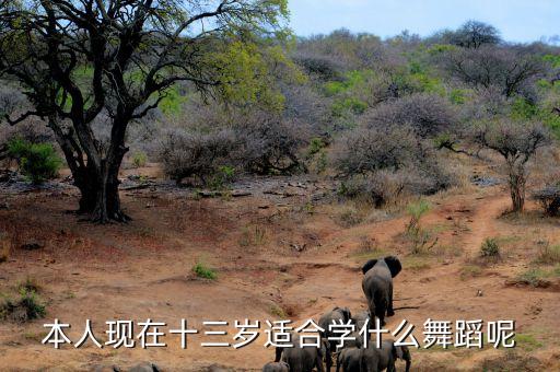 几岁适合跳什么舞，女儿三岁了学跳什么舞比较好