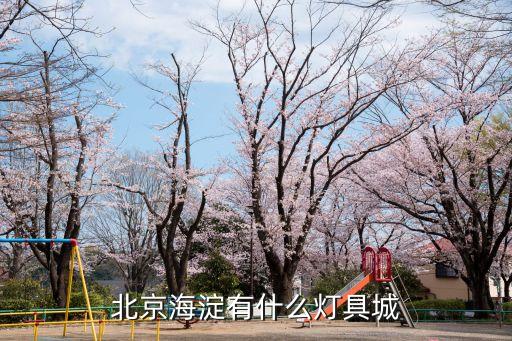 海淀哪些公园白天跳广场舞，北京海淀有什么灯具城