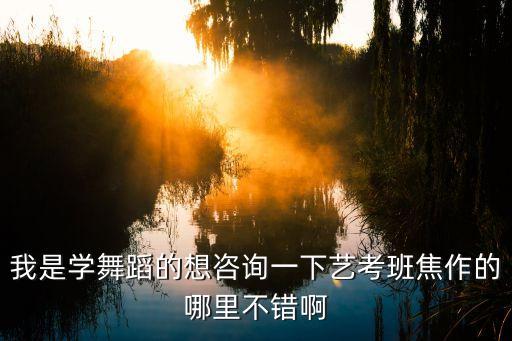我是学舞蹈的想咨询一下艺考班焦作的哪里不错啊