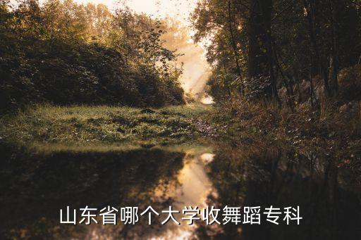 山东省哪个大学收舞蹈专科