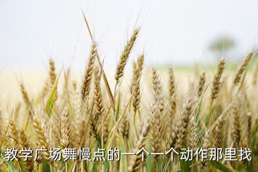 教学广场舞慢点的一个一个动作那里找
