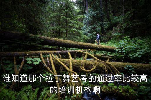 谁知道那个拉丁舞艺考的通过率比较高的培训机构啊