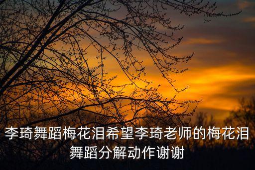 李琦舞蹈梅花泪希望李琦老师的梅花泪舞蹈分解动作谢谢