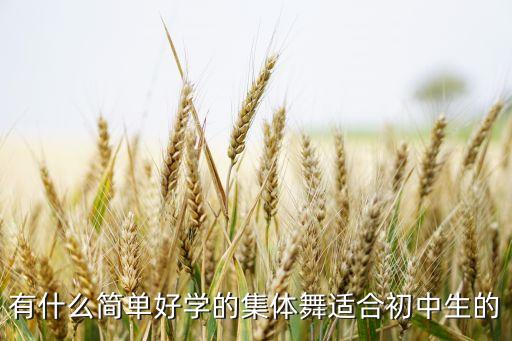 中学生群舞适合跳什么，有什么简单好学的集体舞适合初中生的
