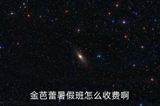 金芭蕾暑假班怎么收费啊