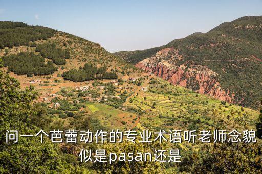 平转芭蕾术语怎么读，芭蕾的读音是什么
