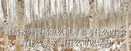 怎么考舞蹈老师，舞蹈教师资格怎么报考都考什么内容 有什么要求 有什么可以学习