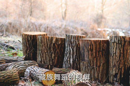 藏舞视频，藏族舞蹈的视屏