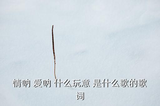 情呐 爱呐 什么玩意 是什么歌的歌词