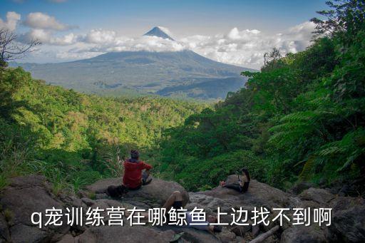 q宠训练营在哪鲸鱼上边找不到啊