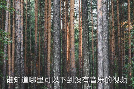 谁知道哪里可以下到没有音乐的视频