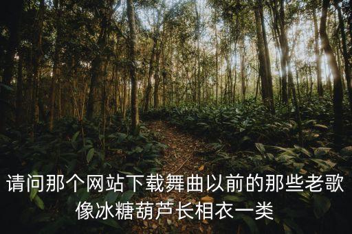 请问那个网站下载舞曲以前的那些老歌像冰糖葫芦长相衣一类