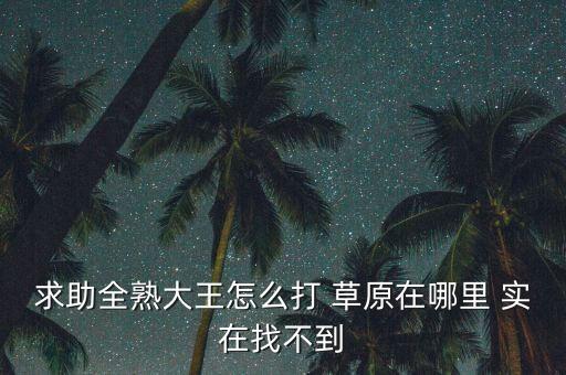 求助全熟大王怎么打 草原在哪里 实在找不到
