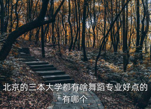 舞蹈三本院校有哪些，西安有哪些舞蹈专业的三本院校