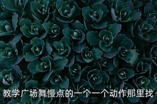 教学广场舞慢点的一个一个动作那里找