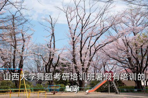 山西大学舞蹈考研培训班暑假有培训的吗