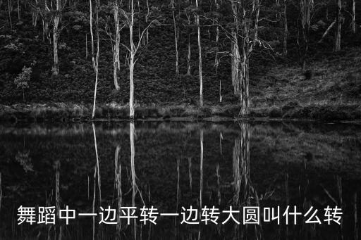 舞蹈中一边平转一边转大圆叫什么转