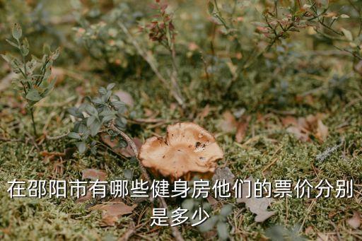 在邵阳市有哪些健身房他们的票价分别是多少