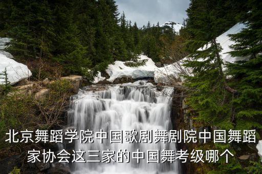 北京舞蹈学院中国歌剧舞剧院中国舞蹈家协会这三家的中国舞考级哪个