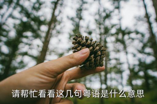 请帮忙看看这几句粤语是什么意思