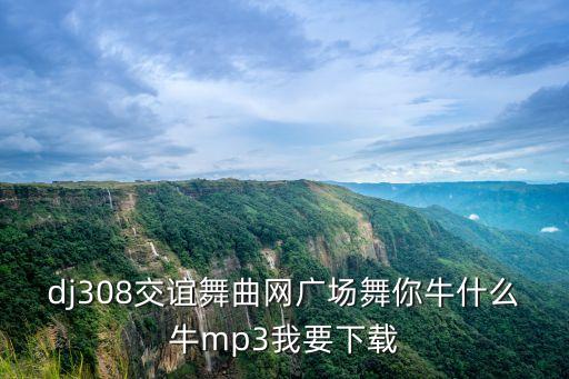 dj308交谊舞曲网广场舞你牛什么牛mp3我要下载