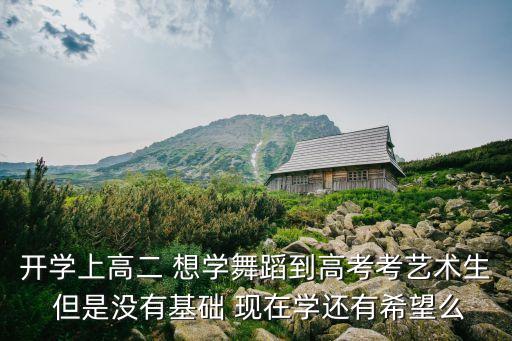 开学上高二 想学舞蹈到高考考艺术生 但是没有基础 现在学还有希望么