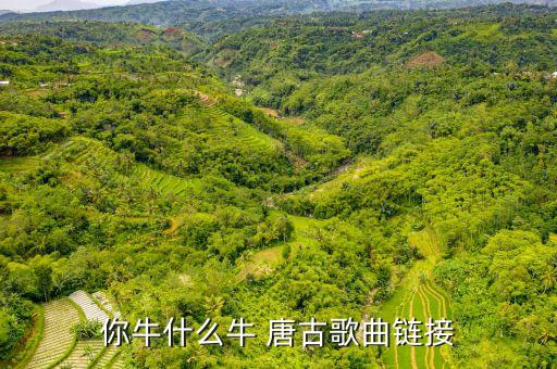 你牛什么牛 唐古歌曲链接