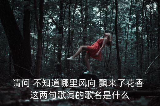 躺落心中山水什么歌，泪水早已模糊了我的双眼这句歌词对应的军歌名是什么