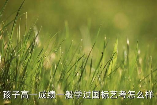 孩子高一成绩一般学过国标艺考怎么样