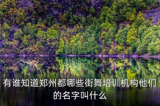 有谁知道郑州都哪些街舞培训机构他们的名字叫什么