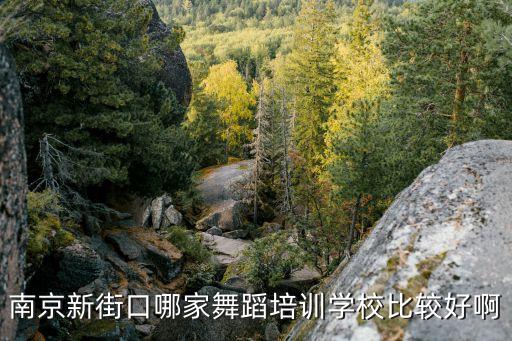 南京新街口哪家舞蹈培训学校比较好啊