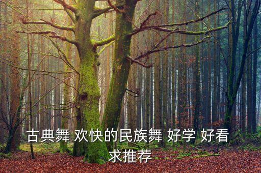 少儿民族舞蹈视频大全简单的，古典舞 欢快的民族舞 好学 好看 求推荐