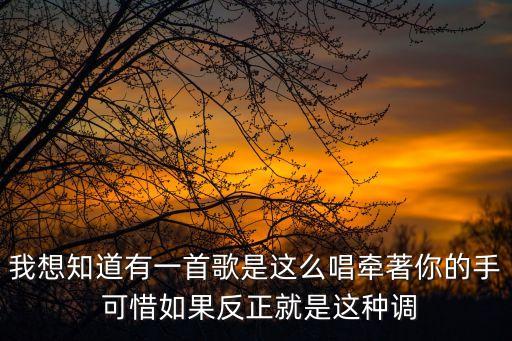 广场舞牵出你的手怎么唱的，牵着你的手和你的腰姿是那首歌里的歌词