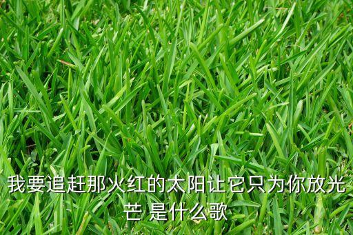 狂欢舞动歌曲名叫什么，Icona PopEmergency中文歌词