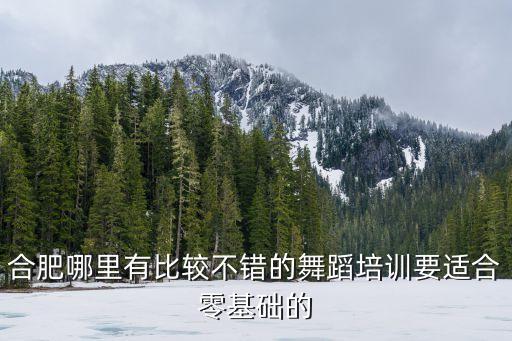 合肥哪里有比较不错的舞蹈培训要适合零基础的