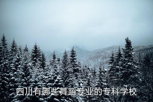 四川有哪些舞蹈专业的专科学校