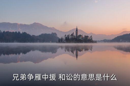 兄弟争雁中援 和讼的意思是什么
