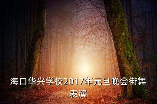 海口华兴学校2017年元旦晚会街舞表演
