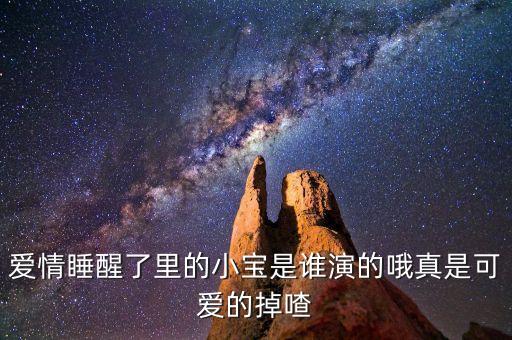 爱情睡醒了里的小宝是谁演的哦真是可爱的掉喳
