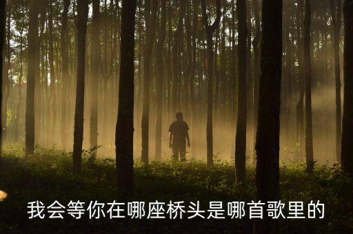 我会等你在哪座桥头是哪首歌里的