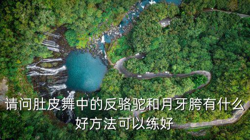 请问肚皮舞中的反骆驼和月牙胯有什么好方法可以练好