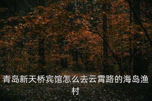 青岛新天桥宾馆怎么去云霄路的海岛渔村