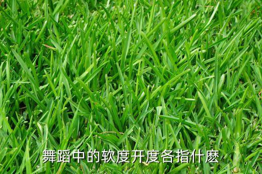 舞蹈中的软度开度各指什麽