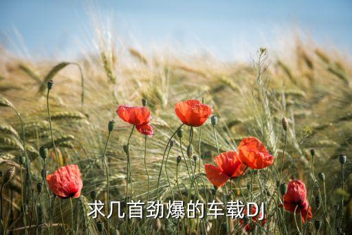 求几首劲爆的车载DJ