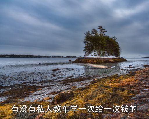 有没有私人教车学一次给一次钱的