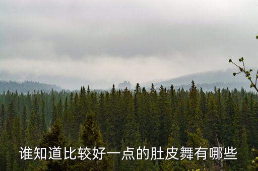 有什么肚皮舞，谁知道比较好一点的肚皮舞有哪些
