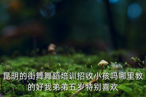 昆明的街舞舞蹈培训招收小孩吗哪里教的好我弟弟五岁特别喜欢
