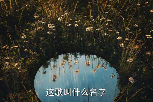 这歌叫什么名字