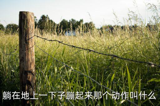 躺在地上一下子蹦起来那个动作叫什么