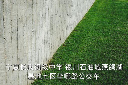 宁夏长庆初级中学 银川石油城燕鸽湖基地七区坐哪路公交车